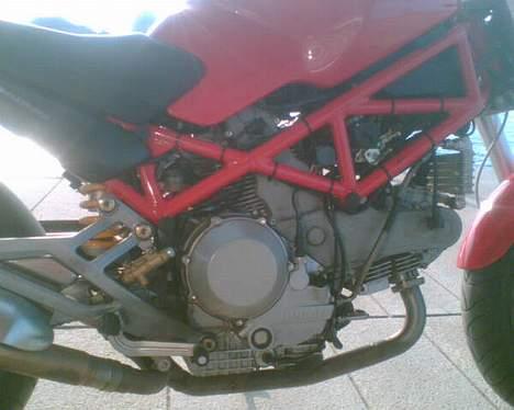 Ducati Monster billede 9