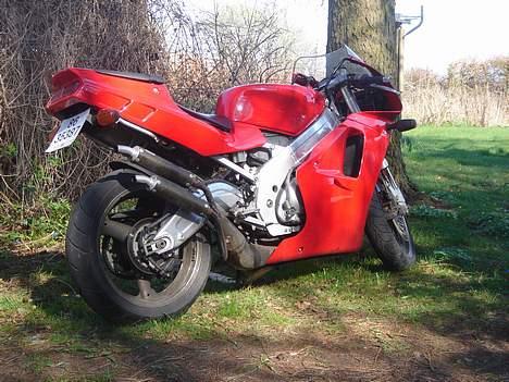 Suzuki RGV SOLGT billede 2