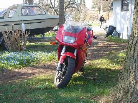 Suzuki RGV SOLGT billede 3