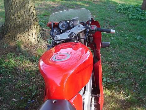 Suzuki RGV SOLGT billede 5