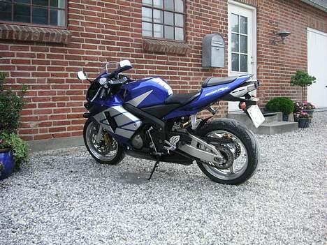 Honda CBR 600 RR billede 8