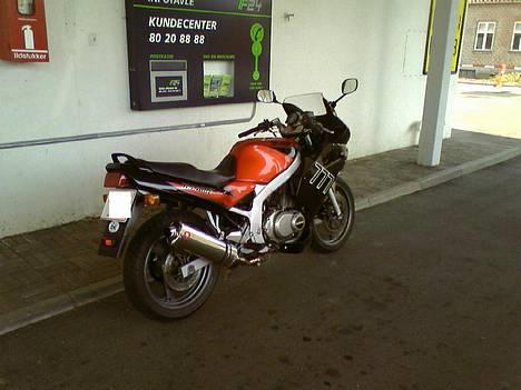 Suzuki Gs 500E SOLGT - lige et billede fra tanken .. billede 3