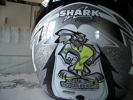 BMW F 650 GS [SOLGT] billede 17