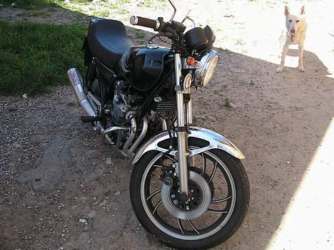 Yamaha xj 550 billede 4