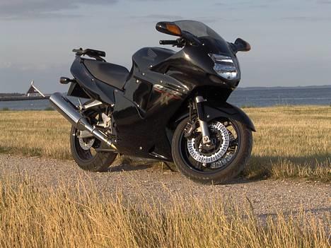 Honda cbr1100 Blackbird ¤R.I.P¤ billede 1