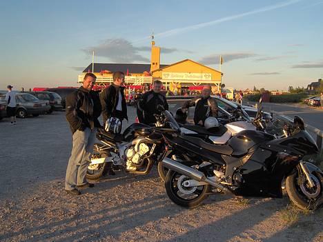 Honda cbr1100 Blackbird ¤R.I.P¤ billede 4