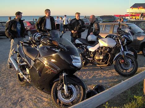 Honda cbr1100 Blackbird ¤R.I.P¤ billede 5