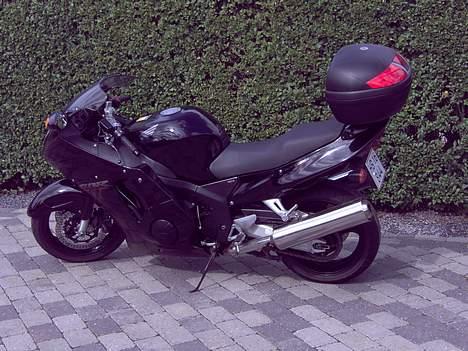 Honda cbr1100 Blackbird ¤R.I.P¤ billede 6