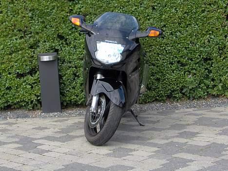 Honda cbr1100 Blackbird ¤R.I.P¤ billede 8