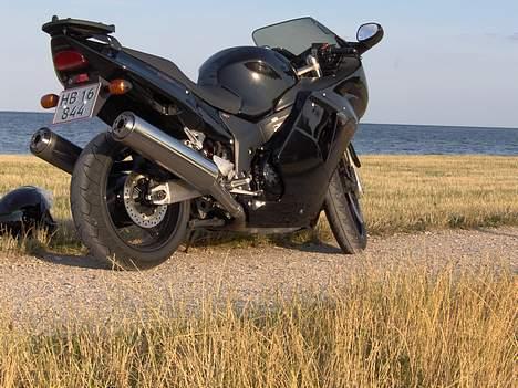 Honda cbr1100 Blackbird ¤R.I.P¤ billede 11