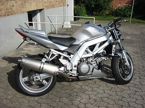 Suzuki SV 1000 N - Her er min skat billede 1