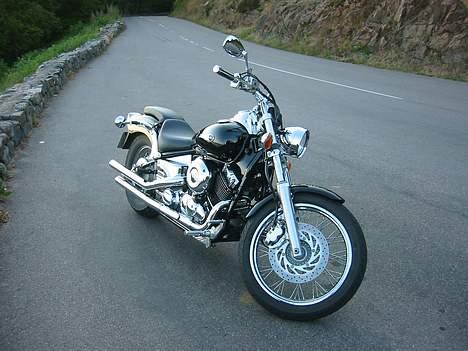 Yamaha Dragstar XVS 650 billede 3