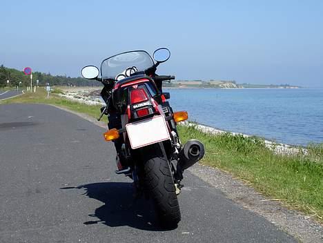 Suzuki GSX-R 1100 R billede 6