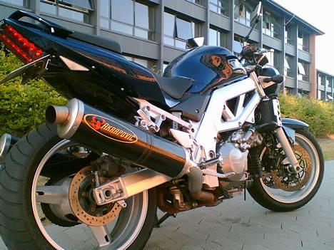 Suzuki SV 1000 *SOLGT* - Godt billede hvis jeg selv skal sige det.... billede 1