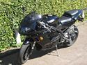 Triumph Daytona 955i