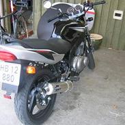 Suzuki Gs500E