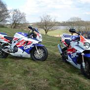 Honda CBR 900 RR Fireblade