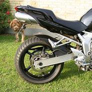 Yamaha FZ6-S (SOLGT)