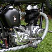 BSA C11G