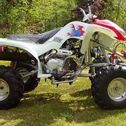 Zongshen 200cc atv vandkølet