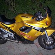 Suzuki GSX600F