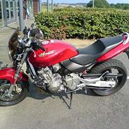 Honda Hornet 600