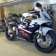 Honda fireblade SOLGT