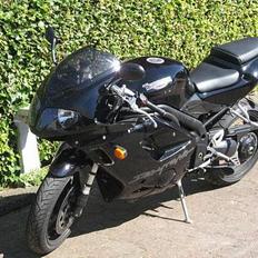 Triumph Daytona 955i