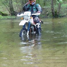 Honda XR 600R