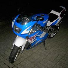 Suzuki RGV 250 (SOLGT)