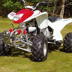 Zongshen 200cc atv vandkølet