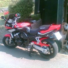 Yamaha fzs 600 fazer"solgt"