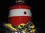 Honda ***CRASHED*** CBR 954RR