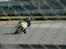 Honda cbr f2 bane mc solgt !!!!