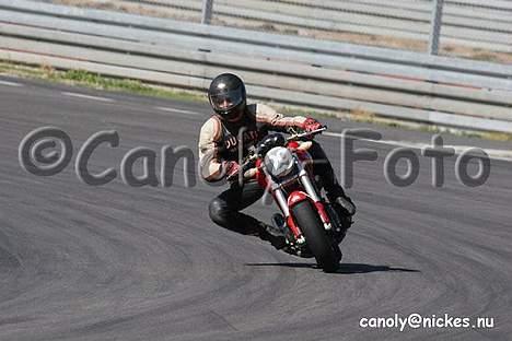 Ducati Monster billede 11