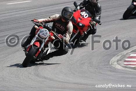 Ducati Monster billede 14