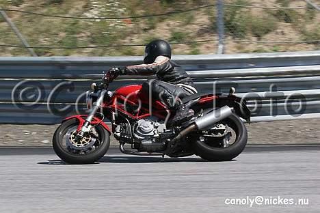 Ducati Monster billede 15