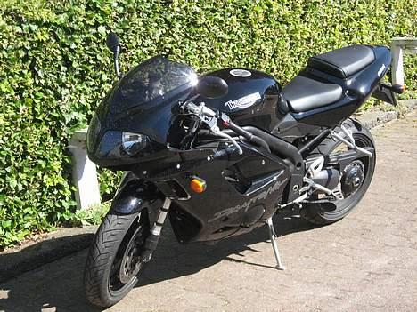 Triumph Daytona 955i billede 1