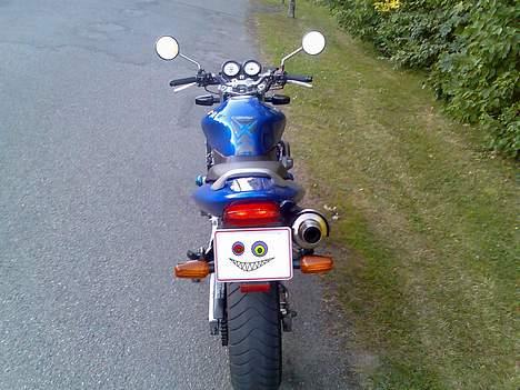 Honda CB600F Hornet *SOLGT* billede 5