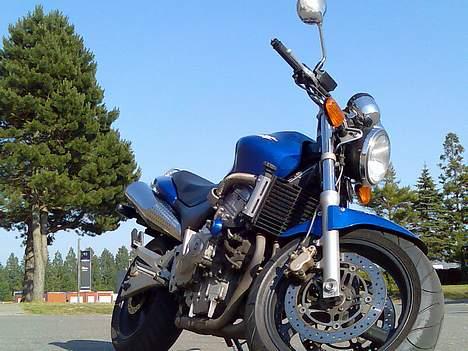 Honda CB600F Hornet *SOLGT* billede 7