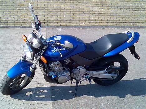 Honda CB600F Hornet *SOLGT* billede 8