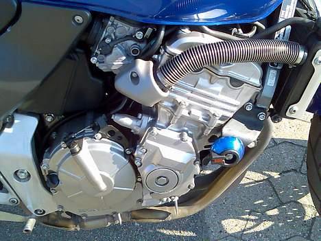 Honda CB600F Hornet *SOLGT* - 600ccm of pure evil ! billede 11