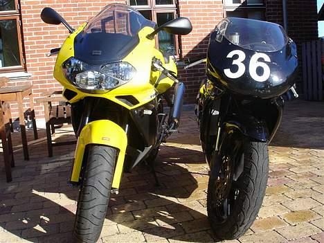 Aprilia  Falco SL 1000 (SOLGT) - SL 1000 vs. RS 250 (det "gamle" banejern) billede 11