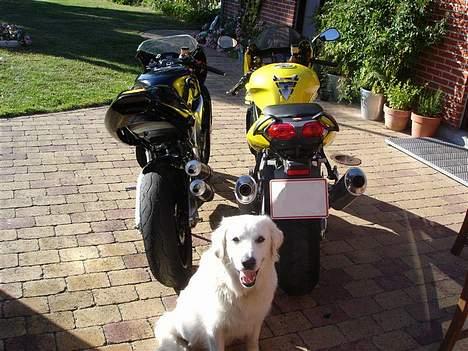 Aprilia  Falco SL 1000 (SOLGT) - RS 250 - Leffe - SL 1000 billede 12