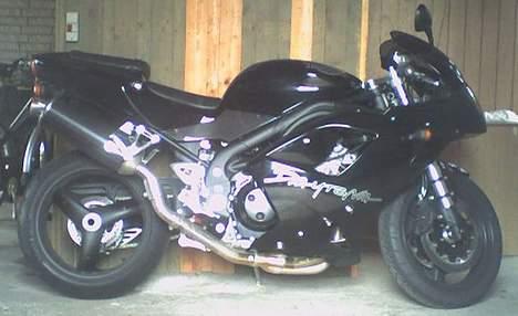 Triumph Daytona 955i billede 3
