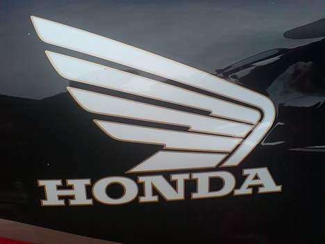 Honda CBR 600 F2 *SOLGT* billede 6