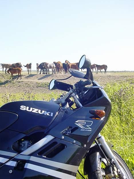 Suzuki GSX-R  *solgt* billede 17