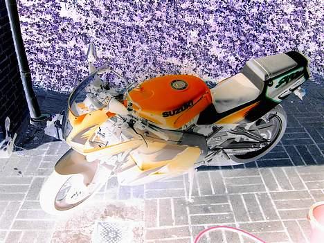 Suzuki RGV 250 (SOLGT) billede 13