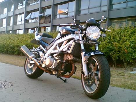 Suzuki SV 1000 *SOLGT* - Nyvasket og pudset i solen billede 9