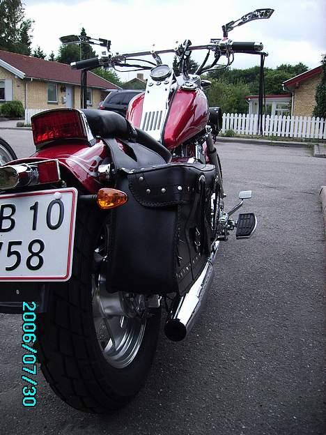 Regal Raptor DD250E-9B - God chopper styling billede 7